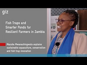Fish Traps, Smarter Ponds, and Climate-Smart Aquaculture in Zambia