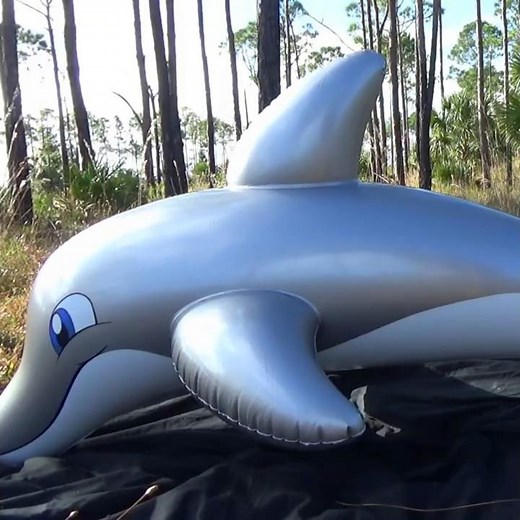 Silver Dolphin Ride-On Pool Toy from Horseplay Toys