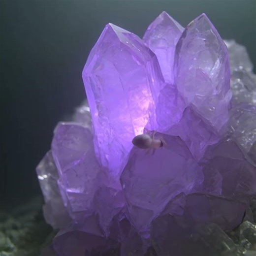 A tiny, translucent spider like creature with diamond skin crawls across the crystal surface.