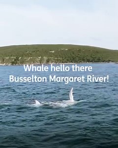 13K views · 108 reactions | Margaret River just got closer today with the launch of our direct flights between Melbourne (Tullamarine) and Busselton Margaret River! To celebrate we are having a sale with fares starting from just $89^  Book your Margaret River holiday now https://bit.ly/3u75Kxa | Jetstar Australia | Facebook