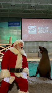 Santa has landed his sleigh at Mystic Aquarium! Come visit the big man, and you favorite Aquarium friends on select dates in December. Link to see the list of dates and more info can be found in the comments of this post! | Mystic Aquarium