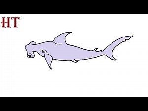 How to draw a Hammerhead shark Step by Step