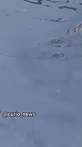 Canal da Tv José Leal Martins. Bairro do Marco. 🐍 | Curió News