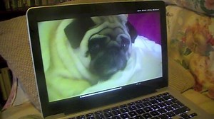 This left me more confused than the last episode of Twin Peaks 😩 | Funny Videos