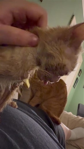 152K views · 17K reactions | Scary episode over!! I think I know what...