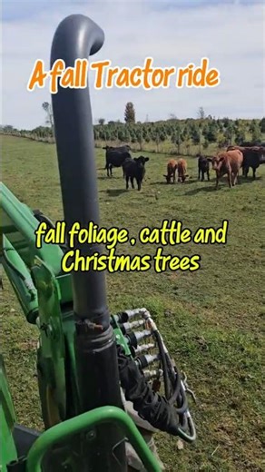 Beautiful fall Tractor ride #autumn #farming #countrylife