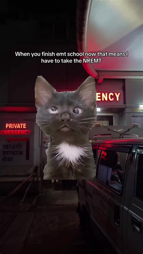 #Meme #MemeCut #emt #firstresponders | emt