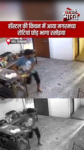 हॉस्टल की किचन में आया मगरमच्छ, रोटियां छोड़ भागा रसोइया | #CrocodileViralVideo #AnimalRescue