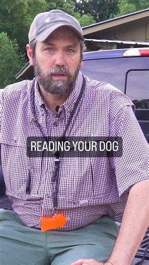 READING YOUR DOG. Not all dogs are the same. That is why it is always important to read your dog when training them. It is not a one size fits all approach. #dogtrainingtips #dogtrainingadvice #dogtrainers | Sporting Life Kennels