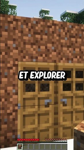 A Minecraft server with incredible realism! (Java & Bedrock)