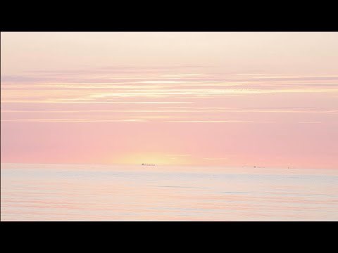 カナタ / baobab + haruka nakamura MV by 川内倫子