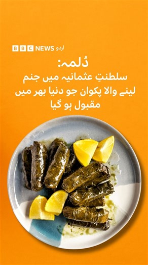 انگور کے پتوں میں لپٹا ہوا سادہ سا دُلمہ مگر اس کے اندر چھپی ہے صدیوں پرانی تاریخ۔ پندرہویں صدی کی سلطنتِ عثمانیہ کے شاہی باورچی خانوں سے شروع ہونے والا یہ پکوان آج دنیا بھر میں محبت، مہمان نوازی اور اجتماعیت کی علامت بن چکا ہے۔ اس کی تاریخ جانیےسومیا گایتری کی رہورٹ پر مبنی رباب بتول کی اس ویڈیو میں۔ | BBC URDU