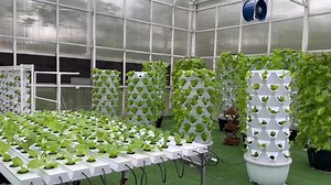 Vertical Tower Garden With Wheels 12 Layer 65L Tank Growing Towers Hydroponics Vertical Garden Systems for Vegetable Grow Plants