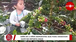 #CampañaCafetalera2021 Te presentamos al niño cafetalero Cristian Heli, natural del distrito de Chirinos provincia de San Ignacio. Sigue a HoyPerú Tv | Jaén Noticias