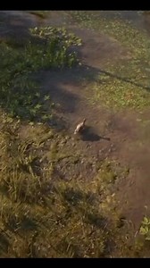 3.4K reactions · 362 shares | PATU VS CROCODILE PANOORIN NYO HANGGANG SA HULI #シ゚viralシ #fypシ゚viralシ #highlightseveryonefollowers2025 #viralreels #funnyreelsvideo #fypviral #fypシ゚ #commentators #funnyvideos #animallovers #amazing | Delia Libertina | Facebook