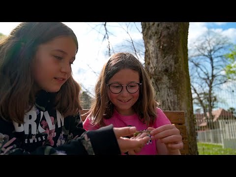 Le métier d'animateur périscolaire
