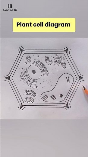 #explorepage
