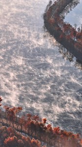Xuancheng, Anhui: Dawn Redwoods at their peak. Mist hovers over the water as sunlight breaks—glide through and discover a forest that feels straight out of a poem. | Good View Hunting