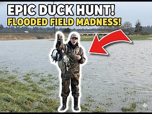 Washington Private Field Duck Hunting! We Found The Birds!!