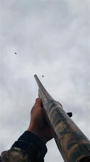 I wasn’t sure which one he was going for, I did my thing ;-) #duckhunting #waterfowl #hunting #duck