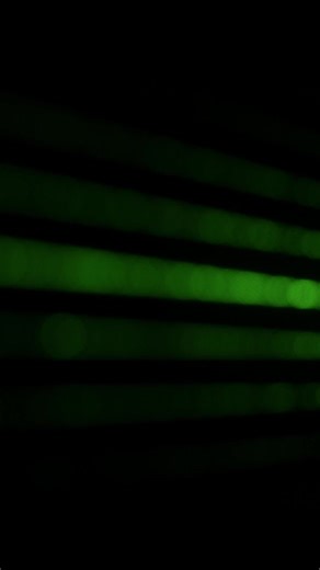 2025 was incredible! 🌍 We supported 2,000 customers in over 60 countries, boosting biosafety, protecting livestock, and humanely relocating millions of birds with AVIX laser technology. A heartfelt thank you to our employees and partners for making this possible. Wishing you a joyful, prosperous, and inspiring New Year! | Bird Control Group