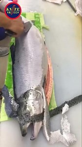 Knife Skills - Professional video fish cutting skills sashimi and sushi food #video #skills #fish