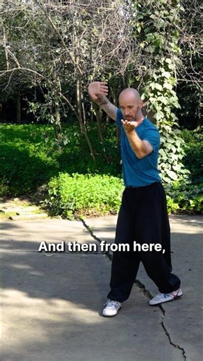 What is Bagua Snake Palm?