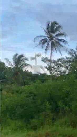 Gawat Siren head terlihat lagi #shorts #sirenhead #shortvideo