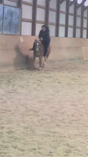 She ate shit #johncena #falloffahorse #fyp #barnstuff @Kelsey Anderson