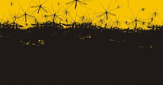 Anopheles stephensi Mosquitoes: An Old Problem, A New Threat to Malaria Mitigation