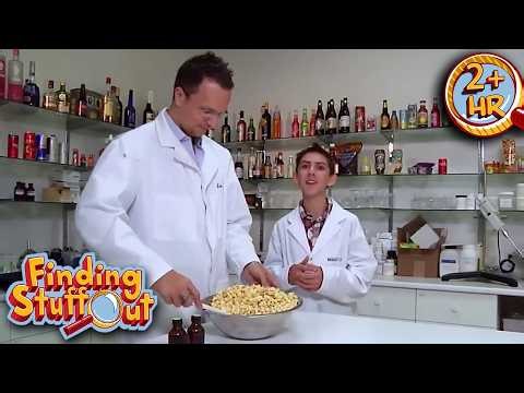 Feast Science | Fun Science for Kids | Finding Stuff Out | Scholastic After School