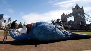 Monty Python dead parrot sketch recreated in real life