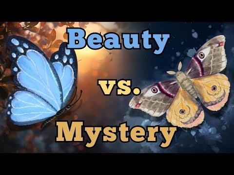 Butterfly vs Moth