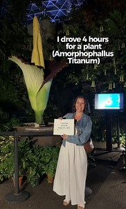 225K views · 9K reactions | “What’d you do this summer?” I drove 4...