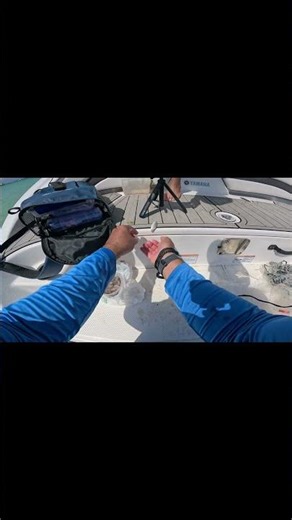 We Found a Baby Redfish! Finally #familyfun #familyadventure