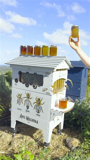 Autumn honey and hive painting inspo 🍯🐝🎨🖌️