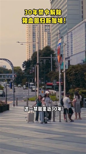 30-year ban lifted, pig's blood returns to Singapore! #sgnrnews #Singapore #news #sg #sgnews #sin...