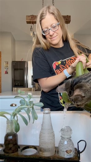 31K views · 306 reactions | A day in my life as a plant mom, dog mom, cat mom, human mom and content creator. 藍♥️ | Kristyslifestyle | Facebook