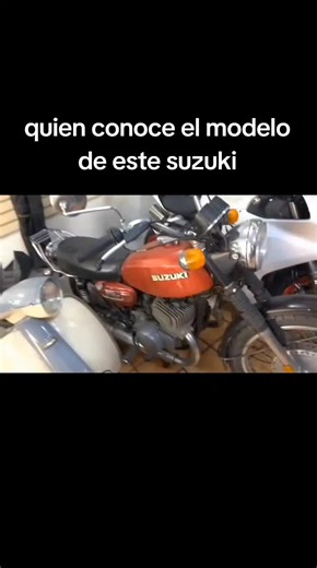 Team Suzuki poder 2T