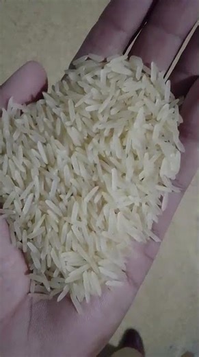 Sella Chawal ki asli quality dekhein 👀🍚 "IMRAN RICE MILL OKARA"