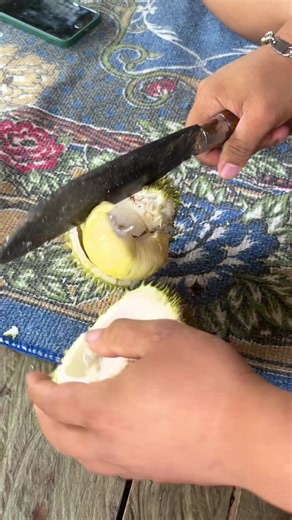 Discover the Amazing Taste of Durian