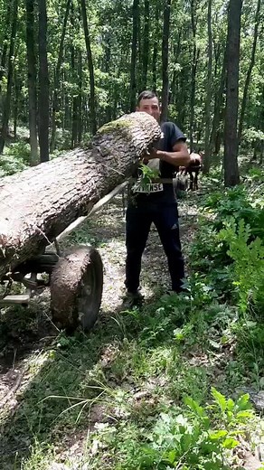 Log Moving Techniques in Dense Woodland Areas