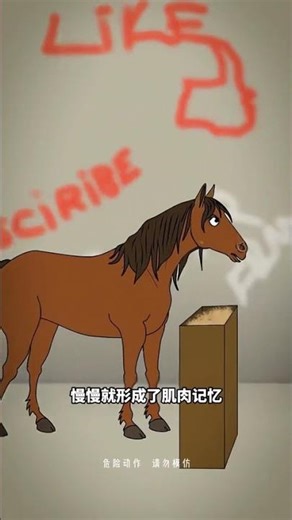 严禁站在马后面：揭秘原因