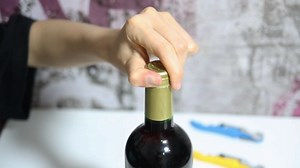 Watch Stainless Steel Waiter Corkscrew on Amazon Live