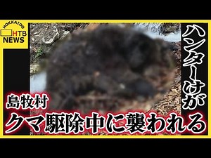【緊迫】クマ駆除中に襲われハンターけが 斜面に現れた体長約2m、280kgのクマに覆われるように 島牧村