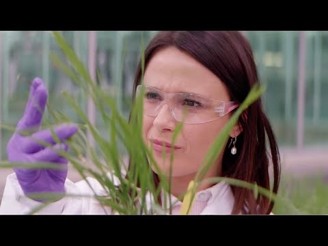 Transforming the Farm: How Corteva Agriscience Applies Disruptive Technology At Scale