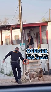 I want to give a lot of credit to the police officer here for not using deadly force in a situation that he would have had the right to do so.⁣ ⁣ Obviously the dog owner here has zero control of his dogs and has multiple dogs that completely disregard his direction.⁣ ⁣ I've worked with some police officers, border patrol, and customs agents over the years and hope to be able to work with them even more because they deal with all sorts of unstable dogs due to lack of human leadership.⁣ ⁣ Obviousl