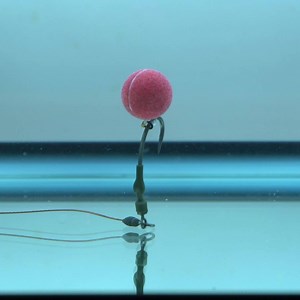 How to critically balance your pop-up rigs... | CARPology Magazine