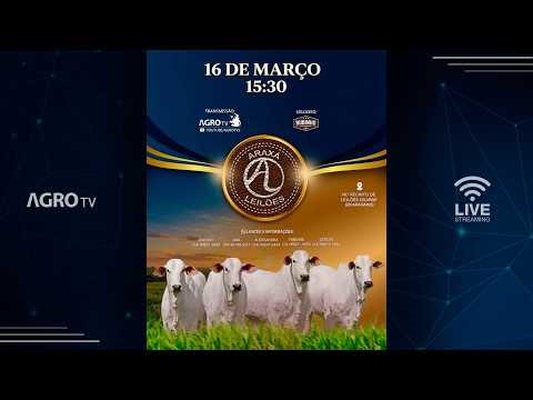 ARAXÁ LEILÕES AO VIVO - 16/03/2026