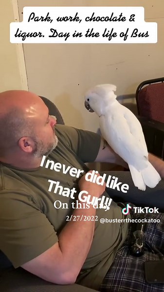 Buster the Cockatoo Rant - On This Day